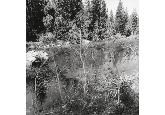 Lee Friedlander Yosemite